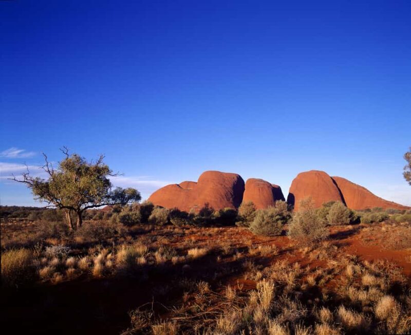 Kata Tjuta Private Guided Sunrise Tour - The Full Experience of the Kata Tjuta Private Guided Sunrise Tour