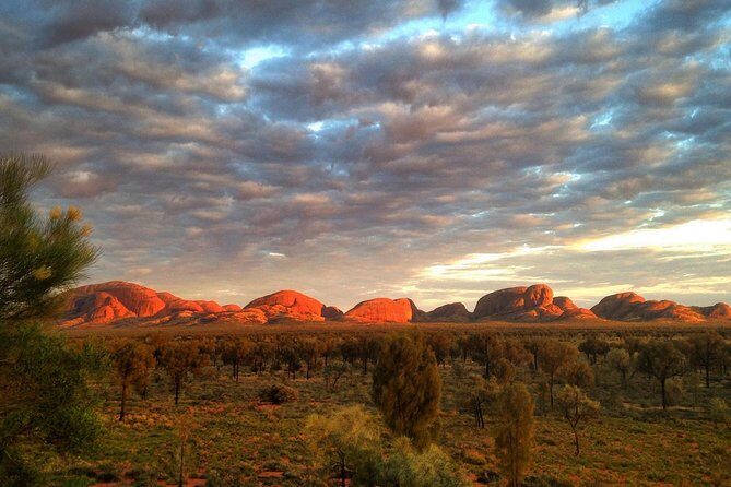 Kata Tjuta Small-Group Tour Including Sunrise and Breakfast - A Deep Dive into the Experience