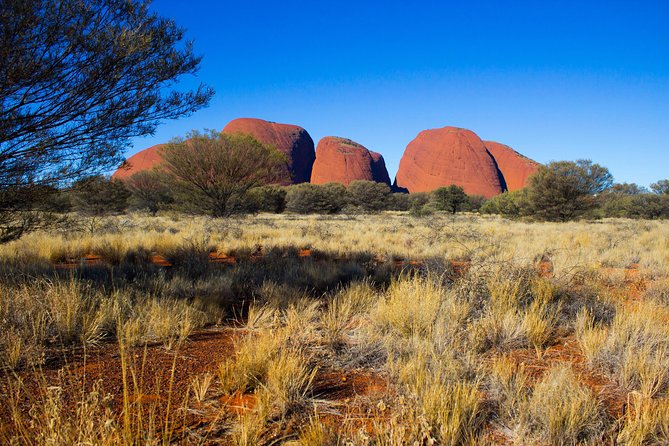 Kata Tjuta Sunrise and Valley of the Winds Half-Day Trip - Memorable Experience and Recommendations