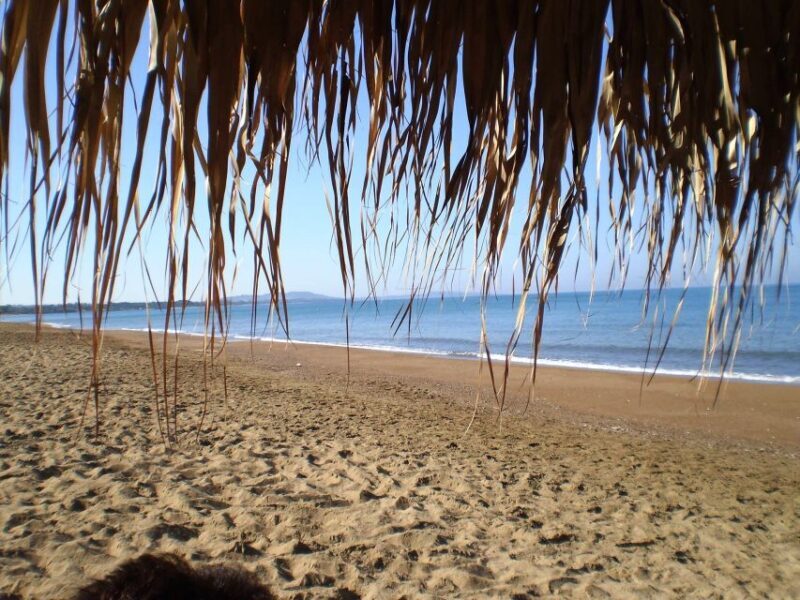 Katakolo: Ancient Olympia and Kourouta Beach Guided Tour - Exploring Ancient Olympia