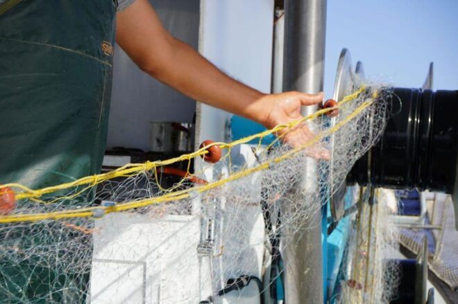 Katerina Fishing Tours - Reservation Process