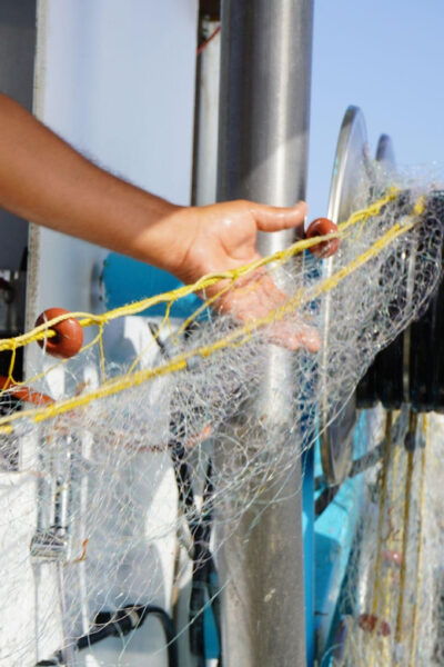Katerina Fishing Tours - Amenities and Inclusions