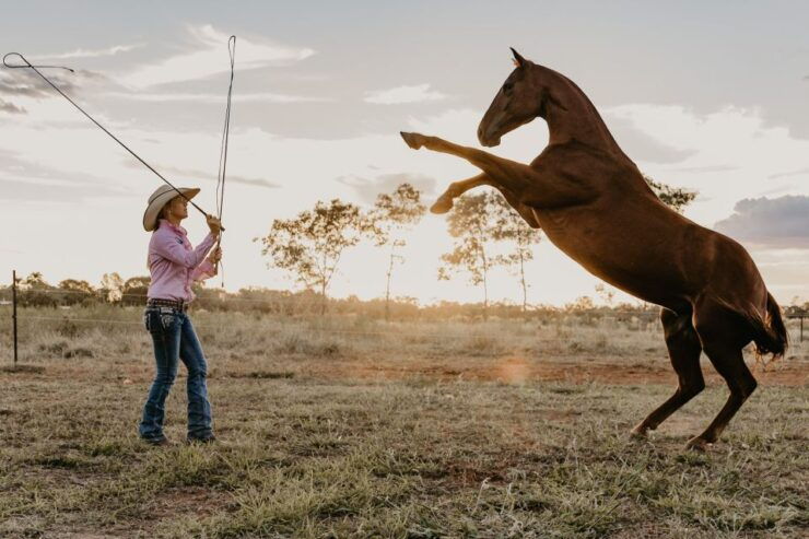 Katherine: Authentic Outback Show and Live Music - Event Duration and Tour Guide