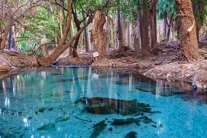 Katherine Gorge - Mataranka - Edith Falls - More... - Mataranka Thermal Pools: Relaxation in Nature