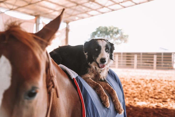 Katherine Outback Experience Show Ticket - Cancellation and Refund Policy