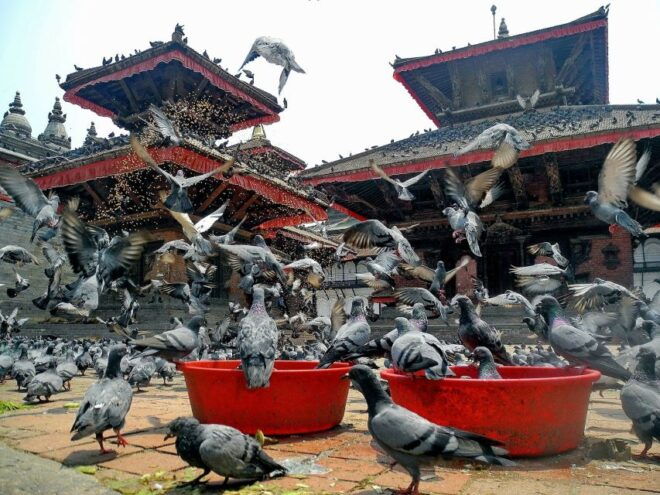 Kathmandu: 1-Day Private UNESCO World Heritage Sites Tour - Swayambhunath Temple