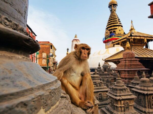 Kathmandu: 1-Day Private UNESCO World Heritage Sites Tour - Common Questions