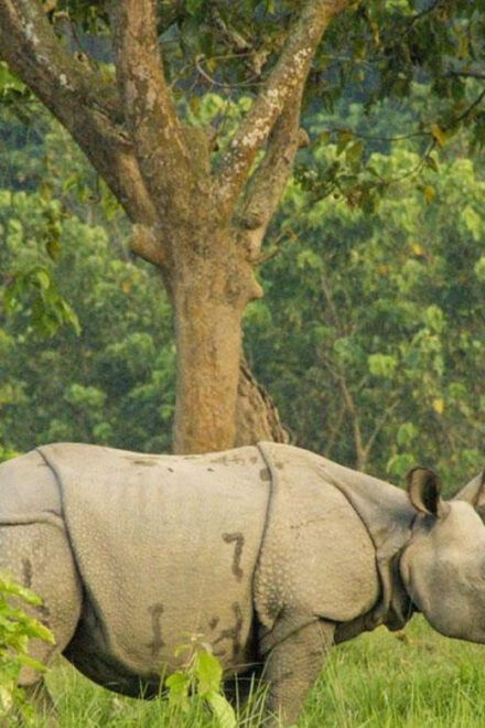Kathmandu: 1-Way Flight Ticket to Chitwan Bharatpur - Accessibility to Bharatpur