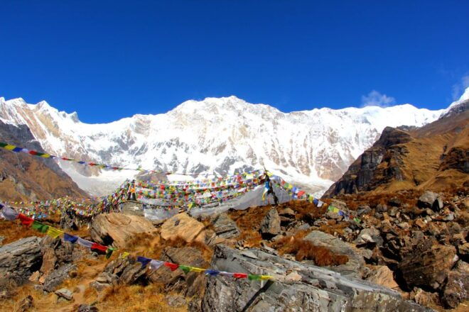 Kathmandu: 12-Day Annapurna Base Camp Trekking Trip - Accommodation and Meals