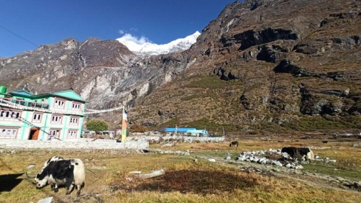 Kathmandu: 12 Day Langtang Valley & Gosainkunda Private Trek - Experience Highlights