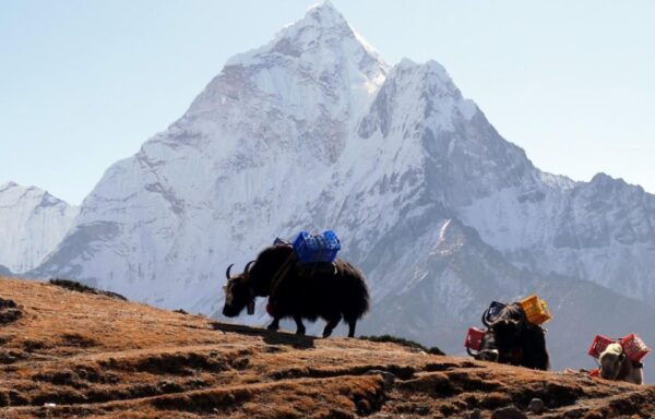 Kathmandu: 15-Day Everest Base Camp Trek With Accommodation - The Sum Up