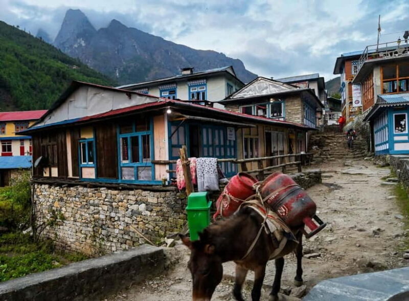 Kathmandu: 15-Day Everest Base Camp Trek with Guide - Good To Know