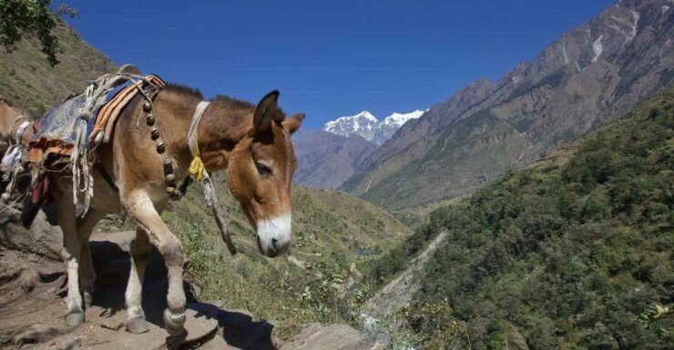 Kathmandu: 15-Day Mountainous Manaslu Circuit Trek - Pickup and Transportation