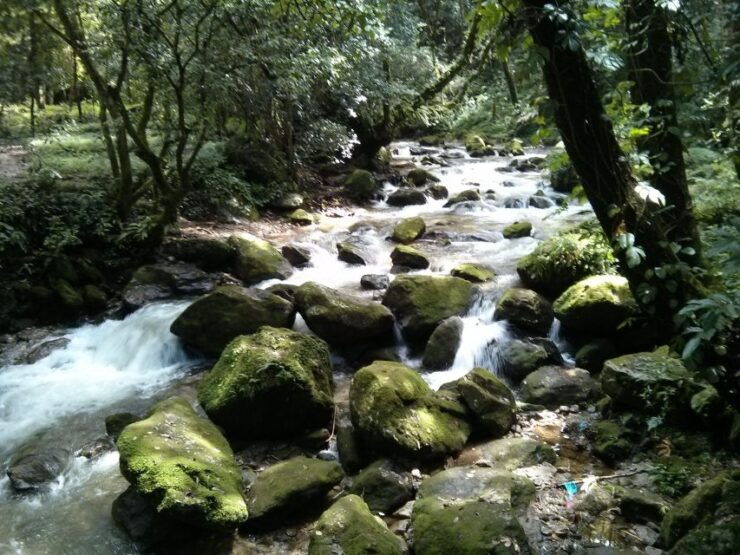 Kathmandu: 2 Nights 3 Days Chisapani Nagarkot Trek Kathmandu - Highlights of the 3-Day Trek
