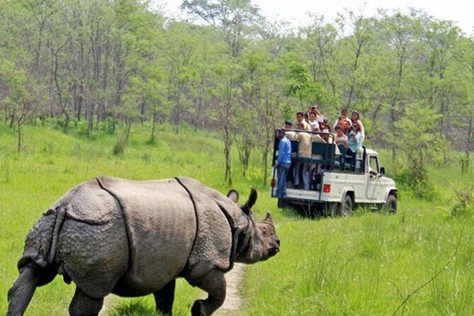 Kathmandu 2 Nights 3 Days Chitwan Jungle Safari Tour - Good To Know