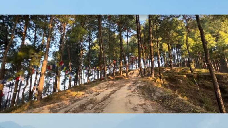 Kathmandu: 3-4 Hrs Hiking at Shivapuri National Park - Good To Know