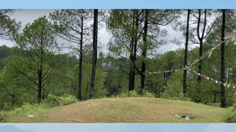 Kathmandu: 3-4 Hrs Hiking at Shivapuri National Park - Practical Details and What to Expect