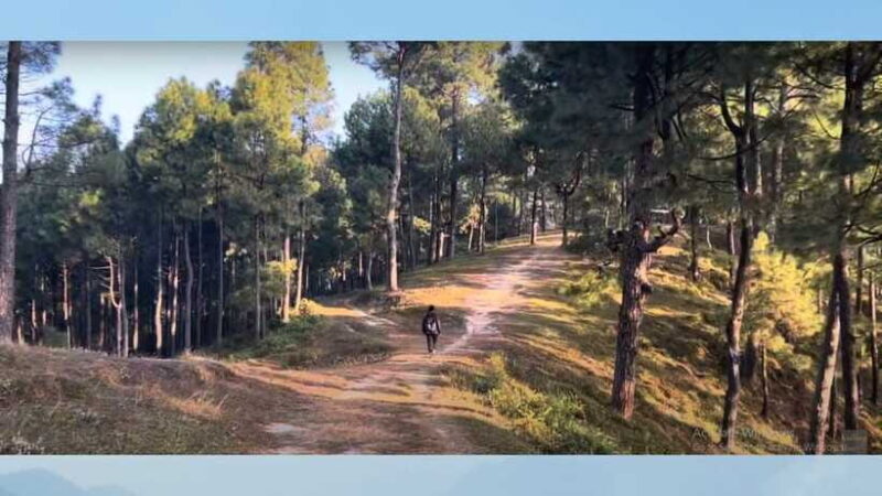 Kathmandu: 3-4 Hrs Hiking at Shivapuri National Park - FAQ