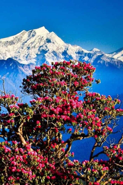 Kathmandu: 3-Day Chisapani Nagarkot Trek - Trek Overview and Pricing