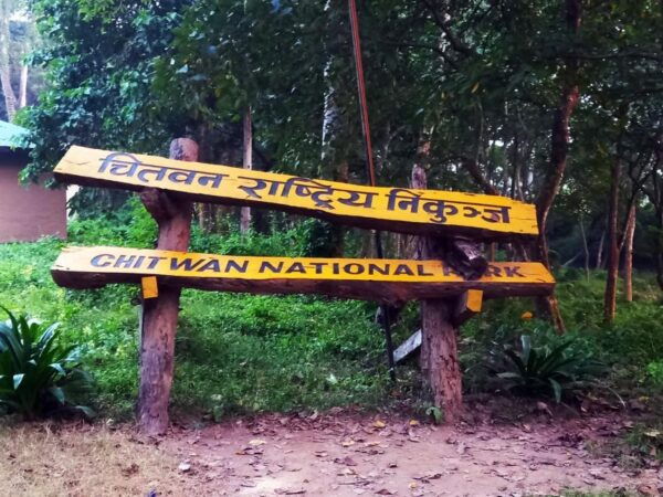 Kathmandu: 3-Day Chitwan Jungle Safari Tour With Meals - Common Questions
