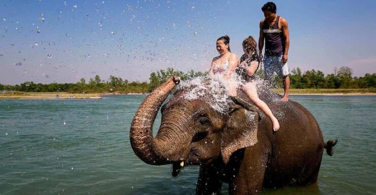 Kathmandu: 3-Day Chitwan National Park Safari Tour Package - Itinerary Highlights