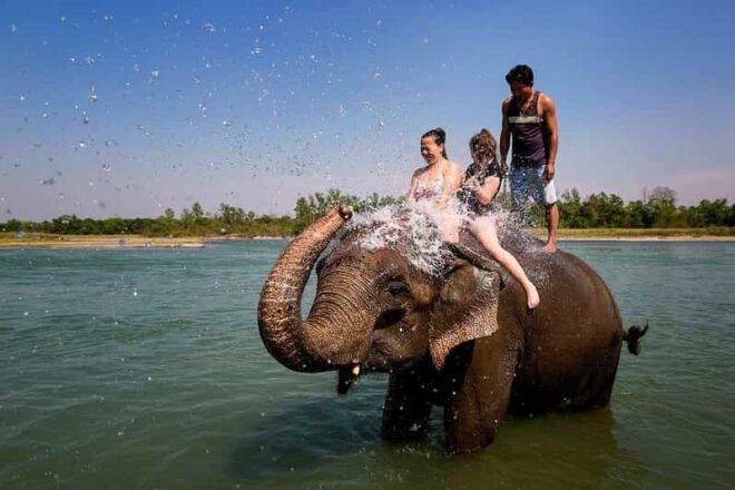 Kathmandu: 3-Day Chitwan National Park Safari Tour Package - Accommodation and Meals
