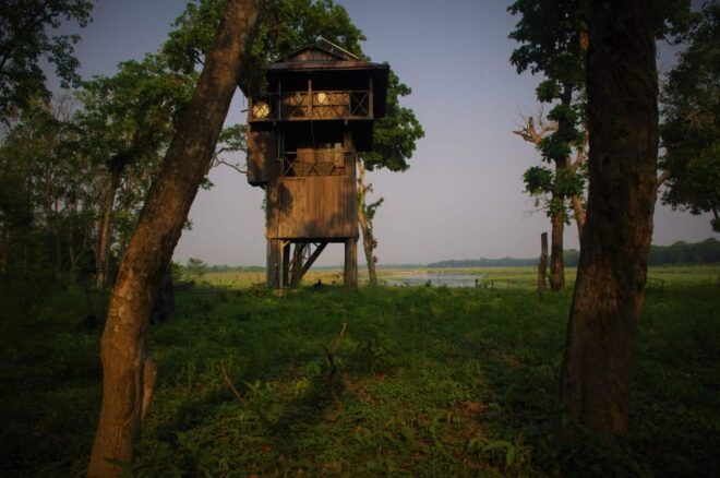 Kathmandu: 3-Day Chitwan Safari Tour With Hotel Transfer - Day 3 Schedule