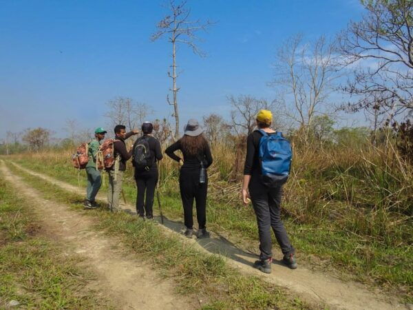 Kathmandu: 3-Day Chitwan Safari Tour With Hotel Transfer - Important Travel Information