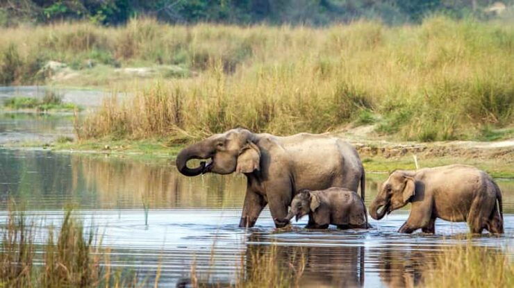 Kathmandu : 3-Day Chitwan Safari Tour With Hotel Transfers - Key Points