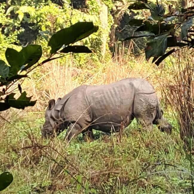 Kathmandu: 3-Day Chitwan Safari Tour with Hotel Transfers - Exploring Chitwan National Park