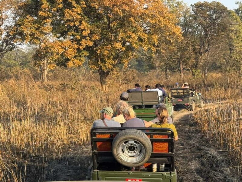 Kathmandu: 3-Day Chitwan Safari Tour with Hotel Transfers - Final Thoughts