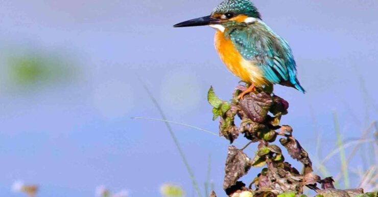 Kathmandu: 3-Day Chitwan Safari Tour With Hotel Transfers - Experience Highlights