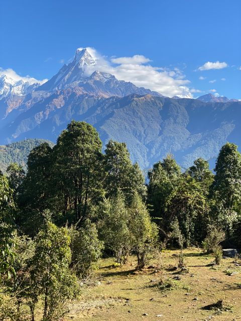 Kathmandu: 3 Day Ghorepani Poon Hill Guided Trek - Trek Itinerary Overview