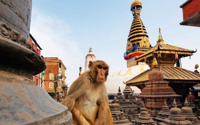 Kathmandu: 3-Day Trek From to Nagarkot and Changu Narayan - Inclusions and Exclusions