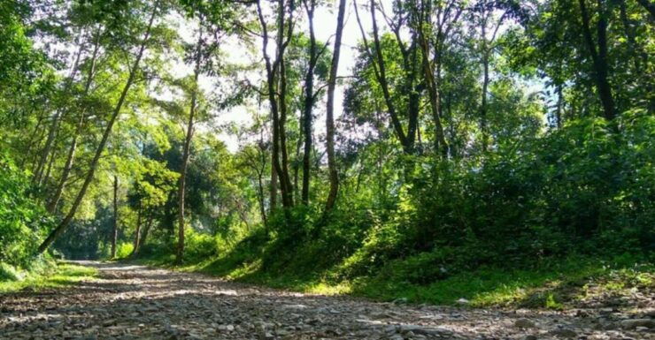 Kathmandu: 3-Day Trek Through Shivapuri National Park - Trek Overview