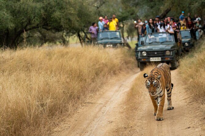 Kathmandu: 3 Days Chitwan Jungle Safari Private Tour - The Experience: What You Can Expect