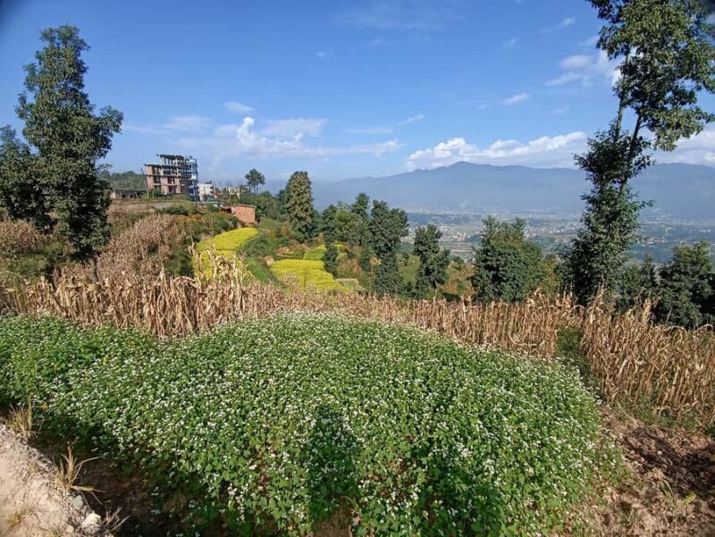 Kathmandu: 4-Day Culture, Cuisine & Himalayan Vistas - In The Sum Up: Is This Tour Worth It?