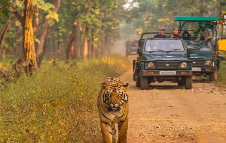 Kathmandu: 4-Day Private Chitwan National Park Safari Tour - Key Points