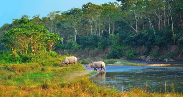 Kathmandu: 4-Day Private Chitwan National Park Safari Tour - Daily Itinerary