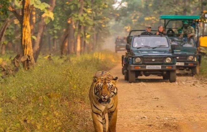 Kathmandu: 4-Day Private Chitwan National Park Safari Tour - Booking Information