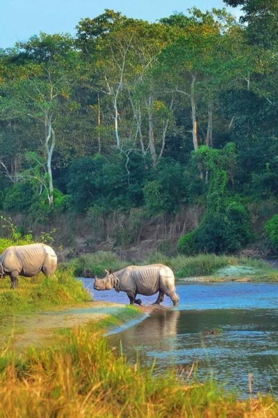 Kathmandu: 4-Day Private Chitwan National Park Safari Tour - Questions You May Have