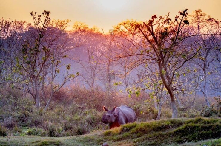 Kathmandu: 4-Days Unesco Sites & Wildlife Safari at Chitwan - Detailed Itinerary