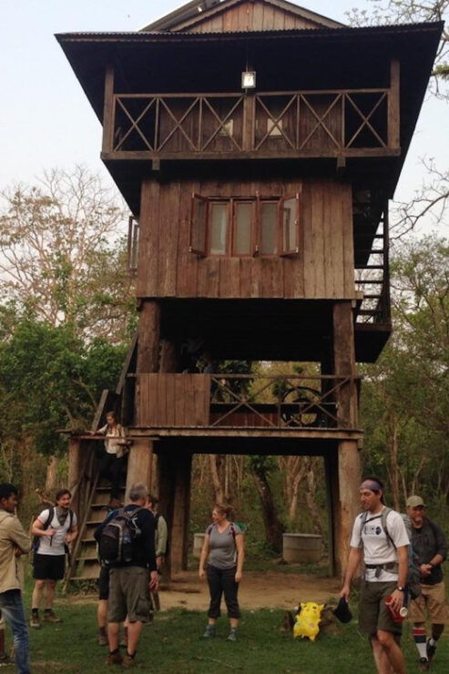 Kathmandu: 5 Days Pokhara & Chitwan Jungle Safari Tour - Meals and Inclusions