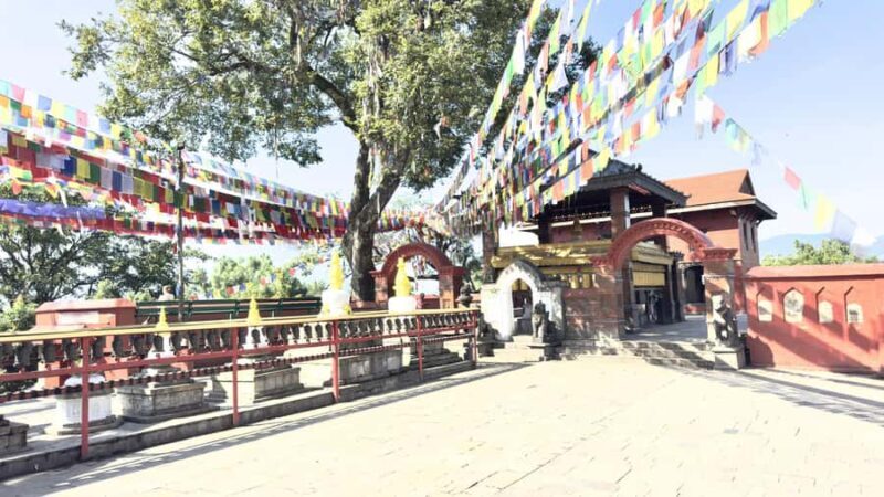 Kathmandu: 6-Day Bardia National Park Safari Tour - Final Thoughts: Is This Tour Right for You?