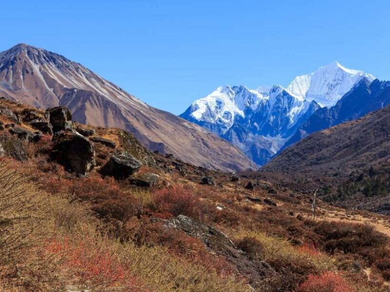 Kathmandu: 6 Days Langtang Valley Trek with Kyanjin Ri - An Honest Look at the Langtang Valley Trek