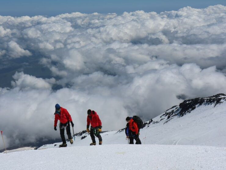 Kathmandu: 7 Day Ghorepani Poonhill & Ghandruk Private Trek - Day 2: Nayapool to Ulleri