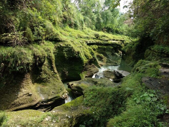 Kathmandu: 7 Day Ghorepani Poonhill & Ghandruk Private Trek - Day 4: Poonhill and Trek to Ghandruk