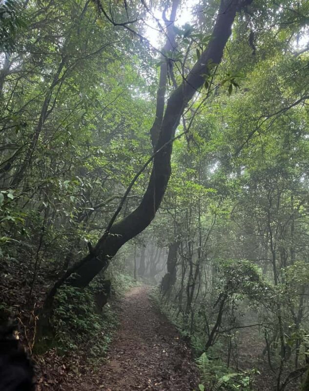 Kathmandu: 7-Day Wellness Retreat with Yoga & Meditation - FAQ