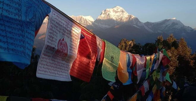 Kathmandu: 7 Days Ghorepani Poonhill & Ghandruk Private Trek - Accommodation and Meals