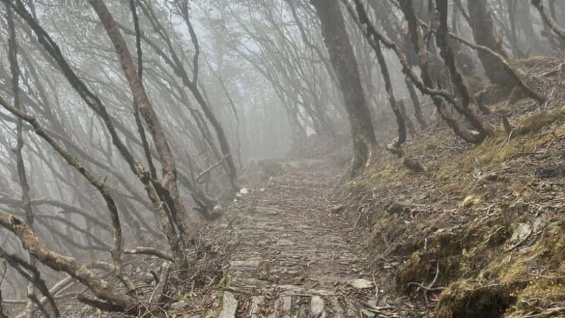 Kathmandu: 8-Day Pikey Hill Trek - The Experience: A Detailed Look at the Pikey Hill Trek